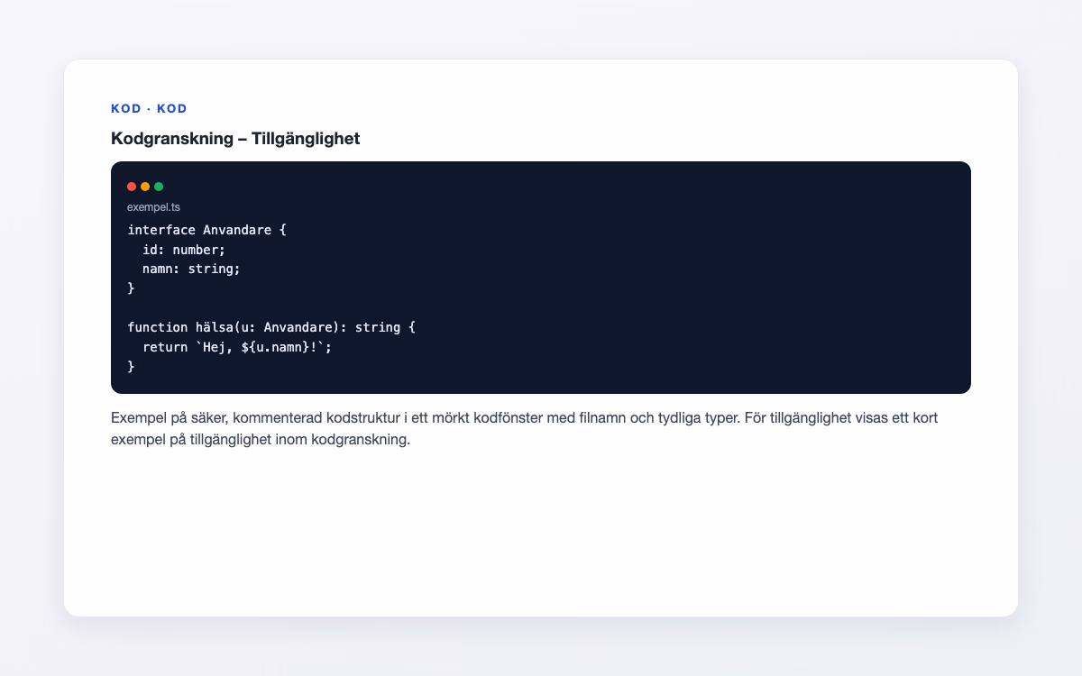 Förhandsbild för Tillgänglighet – Kodgranskning