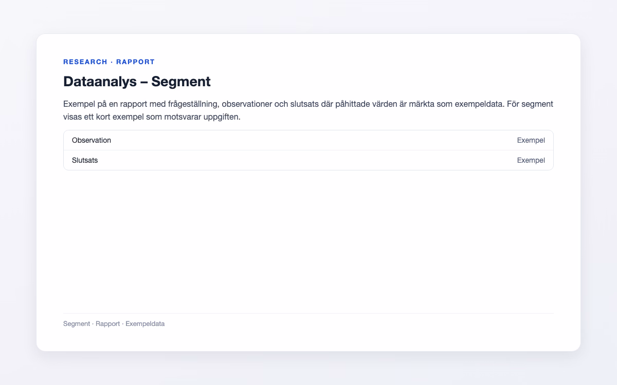 Exempelbild för Segment – Dataanalys