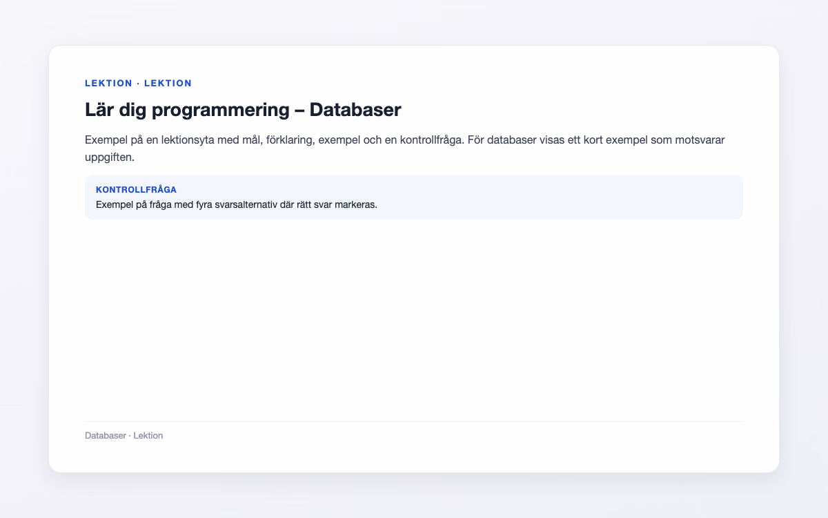 Förhandsbild för Databaser – Lär dig programmering