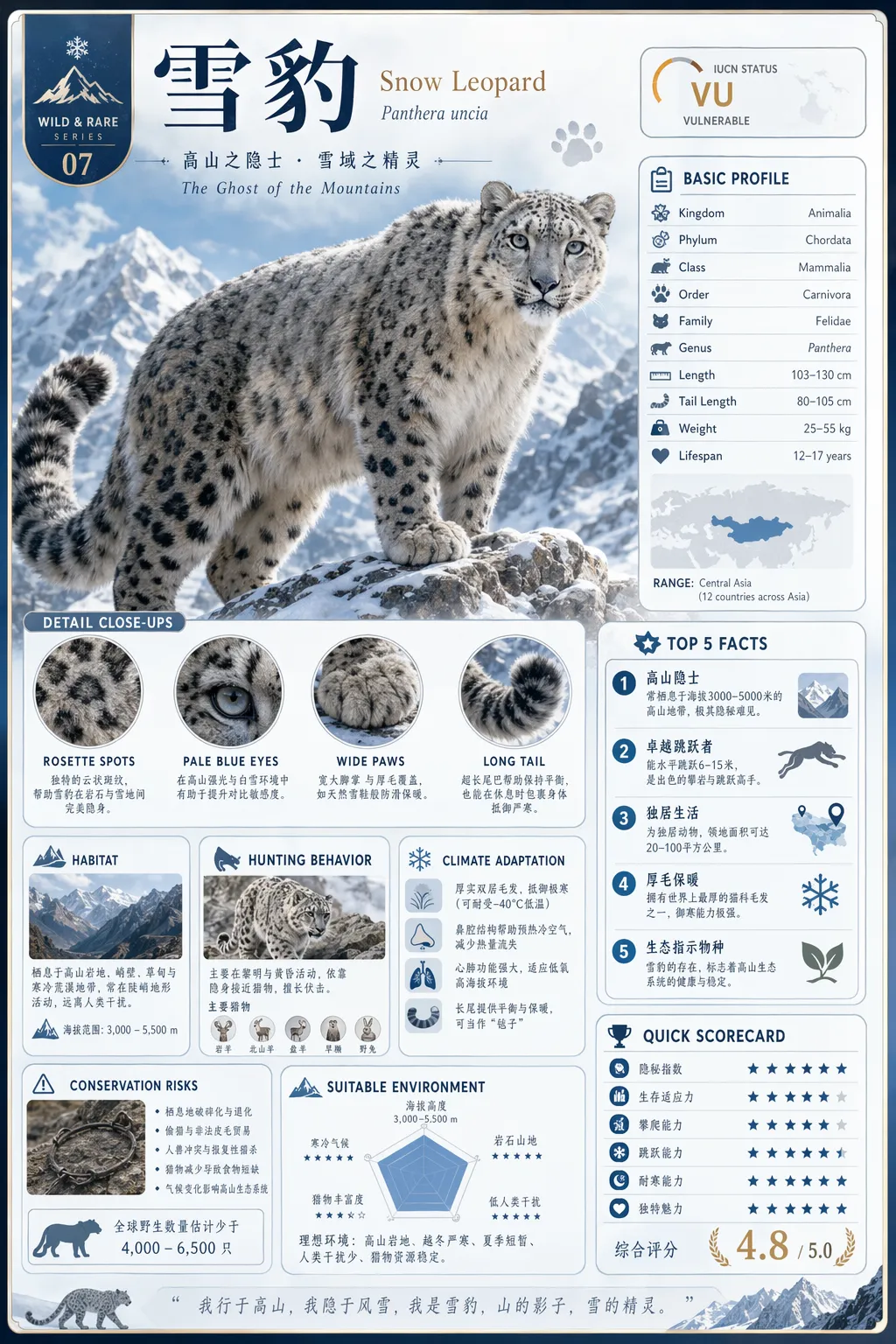 Modulärt uppslagsverkskort som infografik